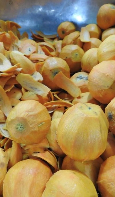 tucuma