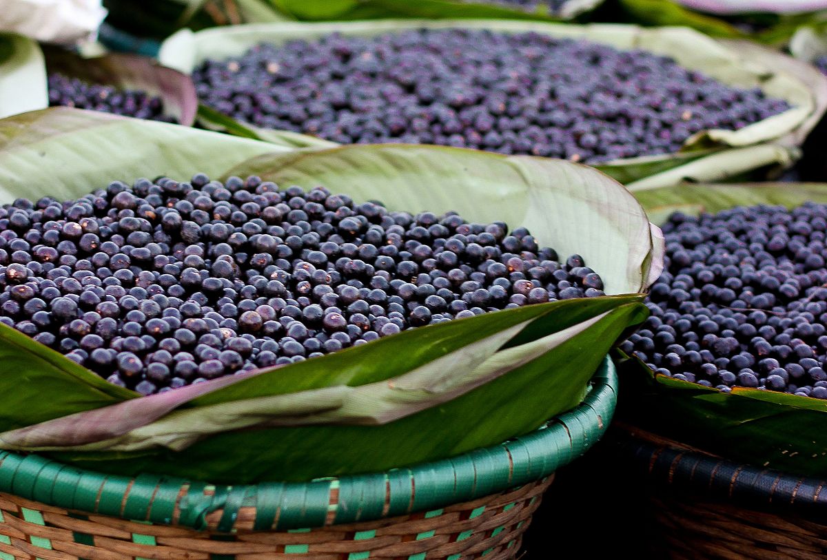 açai